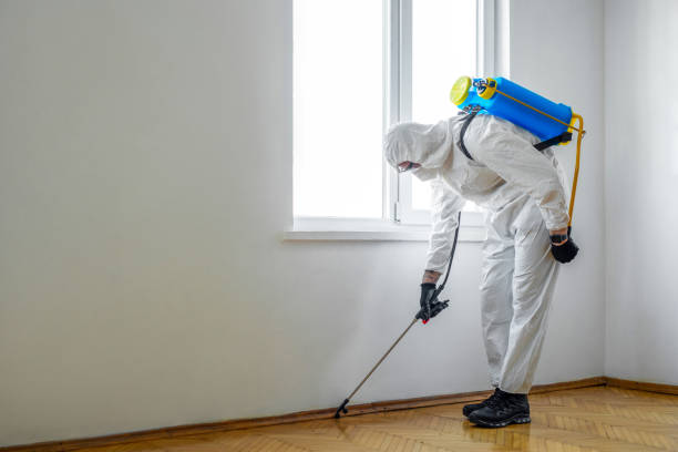 Professional Pest Control in Kenvil, NJ